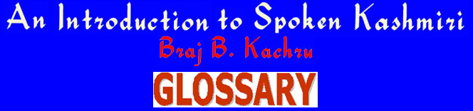 An Introduction to Spoken Kashmiri